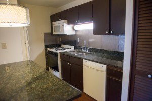 One Bedroom Kitchen with Granite Countertops
